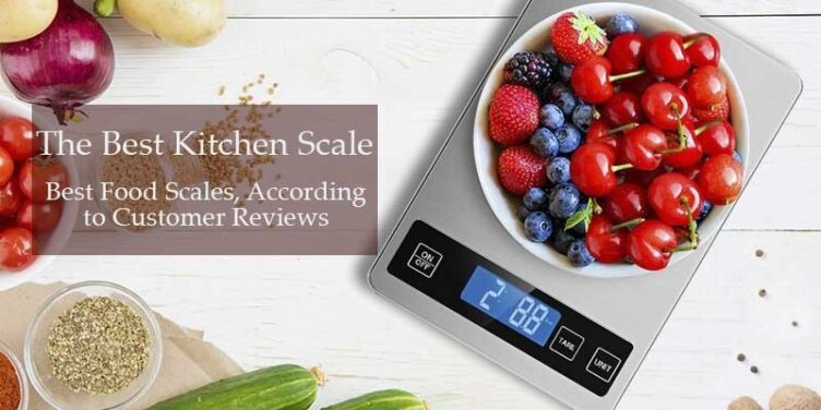 Best Food Scale for Meal Prep